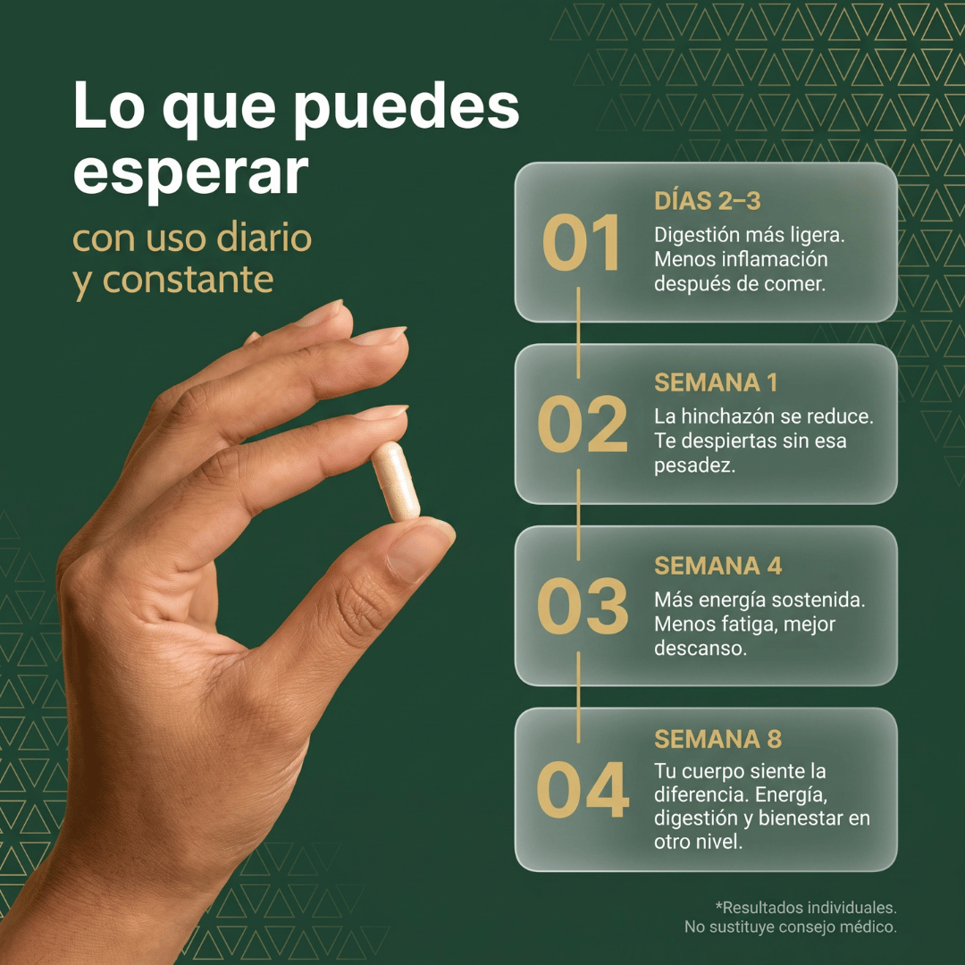 Limpia, Protege y Fortalece Tu Hígado con Cutiva Labs Liver Support